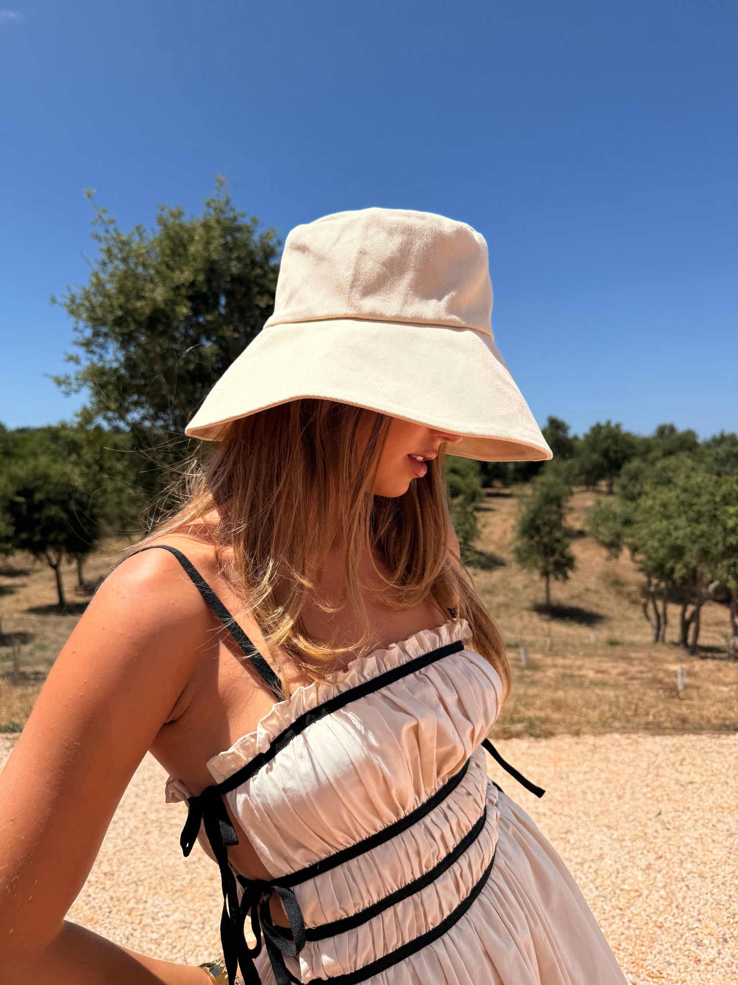 Bonjour Beige & Black Midi Dress - Beige